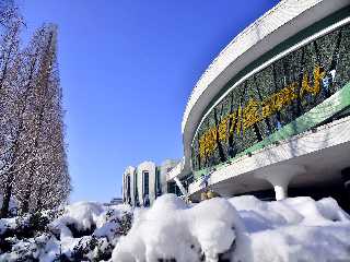 Snow scene of Pyongyang