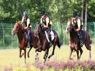 Mirim Riding Club