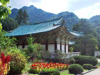 Archives of the 80 000 Wooden Blocks of the Complete Collection of Buddhist Sutras