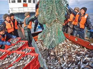 in the fishing ground of the East Sea of Korea