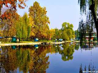 Bank of the Pothong River in Autumn