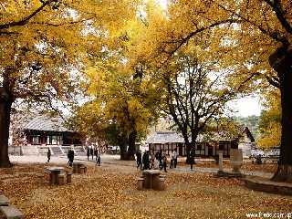 Koryo Museum in Kaesong