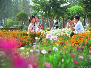 in the Sanghung Children’s Park