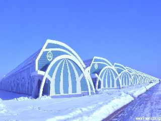 Hydroponic greenhouse and Soil greenhouse