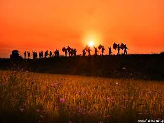 the Evening of Taechong-ri in Unpha County