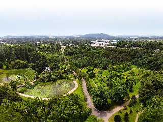 General View of Central Botanical Garden