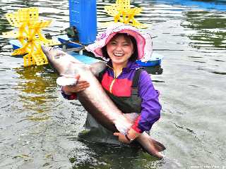 In Ryongjong Fish Farm