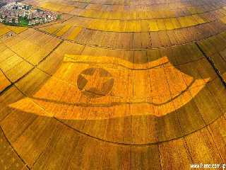 the National Flag inscribed on the wheat field