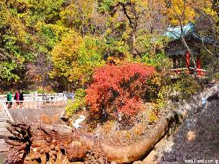 Autumn Scenery at Mt. Ryongak